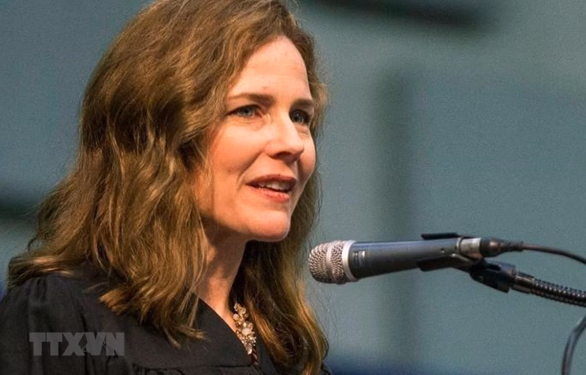 Lanh dao phe Dan chu chi trich de cu Tham phan Toa Toi cao