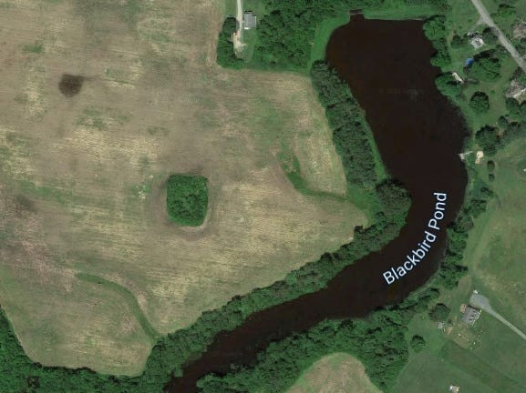 Theo Delaware Online, Jane Marie Prichard theo học thạc sĩ tại Đại học Maryland, và đã đến thăm khu rừng Blackbird nhiều lần để nghiên cứu. Tuy nhiên, vào ngày 20/9/1986, cô được phát hiện tử vong trong khu rừng này do bị bắn trúng lưng. Cái chết của Jane được coi là một vụ giết người. Một thợ săn sau đó bị bắt và thẩm vấn, nhưng bằng chứng ADN đã minh oan cho ông này vào năm 1987. Một đơn vị đã bắt đầu điều tra lại vụ án vào năm 2015, nhưng không có tiến triển.