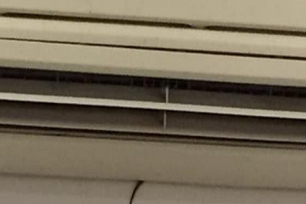 Tổng cộng, 5 con rắn đã được lấy ra khỏi chiếc điều hòa nhiệt độ nhà Somkiat. Ảnh: ABC.