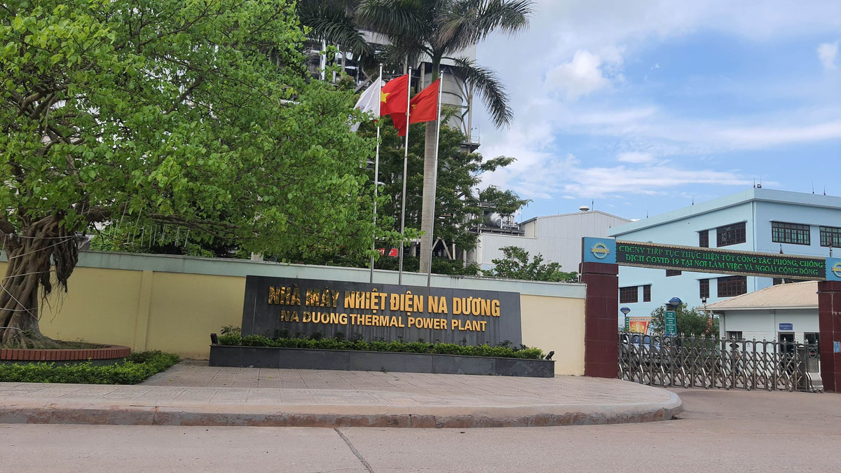 Xay dung khi chua duoc cho thue dat, Cty Nhiet dien Na Duong noi gi?