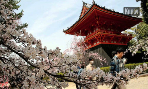 Nhật Bản là nước ôn đới, mùa hè rất nóng còn mùa đông lại rất lạnh. Vì vậy, theo kinh nghiệm của nhiều người du lịch Nhật Bản đẹp nhất là vào mùa xuân và mùa thu.