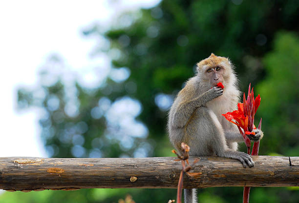  Tuổi Thân: Khi tài chính chỉ ở mức nhỉnh hơn mặt bằng chung, đừng dại mà yêu cầu quá cao cho bản thân. Nhưng cũng đừng lười biếng ỷ lại, tự biến mình thành kẻ vô dụng đó. Cảnh bảo rằng, khi quá áp lực, bạn dễ thiếu kiềm chế và sa chân vào một mối quan hệ tay ba. 