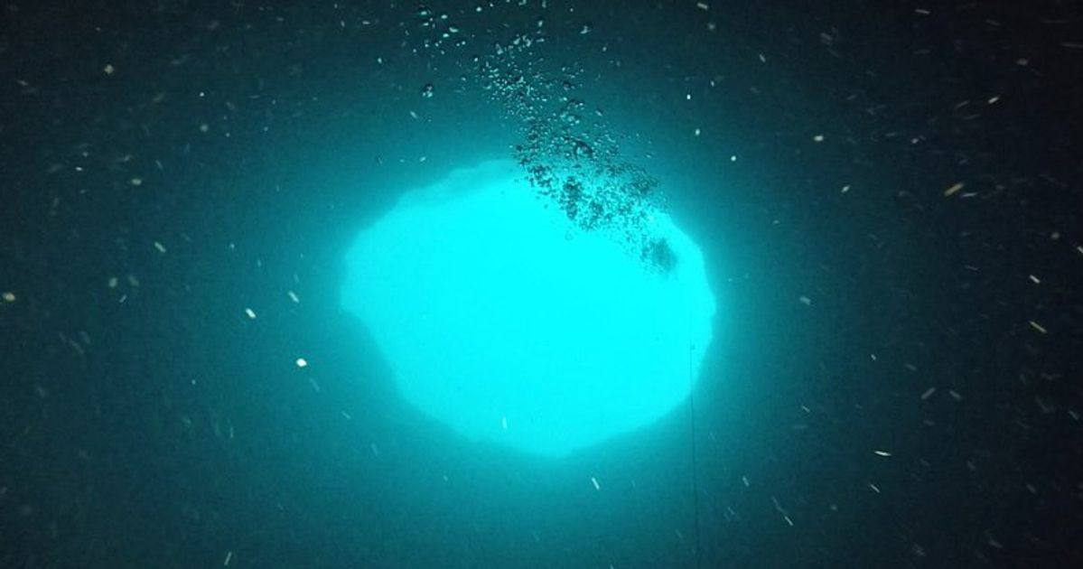 Blue Hole là nơi sinh sống của nhiều loài sinh vật biển, bao gồm cá mập, rùa và cá. Chúng cũng là điểm đến phổ biến cho thợ lặn, vì vẻ đẹp độc đáo và cảm giác phiêu lưu khi khám phá hang động dưới nước. Ảnh: @The Swaddle.