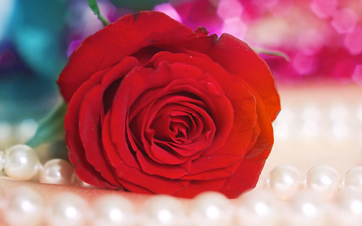 Tuổi Mùi: Vận thế chung: 4.8 điểm. Sự nghiệp: 4.5 điểm. Tình cảm: 4.4 điểm. Tài vận: 4.4 điểm. Sức khỏe: 4.5 điểm. Sự nghiệp: có quý nhân giúp đỡ trong công việc. Tài vận: tình hình tài chính tốt, có thêm khoản thu. Tình cảm: có nhiều tin vui. Sức khỏe: lưu ý bệnh cũ tái phát. Quý nhân tuần này: tuổi Hợi, tiểu nhân tuần này: tuổi Dần. Lời khuyên: nên đi kiểm tra sức khỏe. Ảnh: hdwallpaper.in.