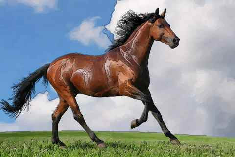 Tháng này, cũng nhờ quý nhân dẫn đường chỉ lối mà việc kiếm tiền của người tuổi Ngọ cũng dễ dàng hơn, đầu tư đâu là thu lơi nhuận ở đâu, kinh doanh gì cũng kiếm được thu nhập không nhỏ. 