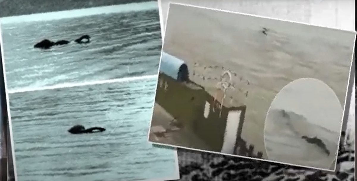 Brosnya cũng được biết đến là có thể lật thuyền và nuốt chửng ngư dân. Vào mùa hè năm 2002, một nhóm các nhà nghiên cứu động vật học bí ẩn người Nga đã dẫn đầu một cuộc thám hiểm đến hồ. Ảnh: @We are IF.