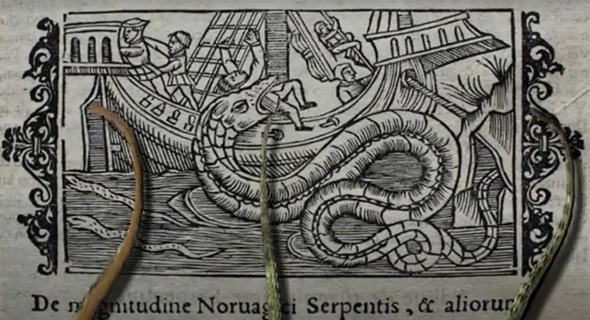 Brosnya được cho là đã sinh sống ở hồ này trong hàng trăm năm. Truyền thuyết về sinh vật này kể rằng, nó đã xuất hiện để xua đuổi bất kỳ kẻ xâm lược nào chọn nơi săn mồi của nó làm nơi cắm trại. Ảnh: @We are IF.