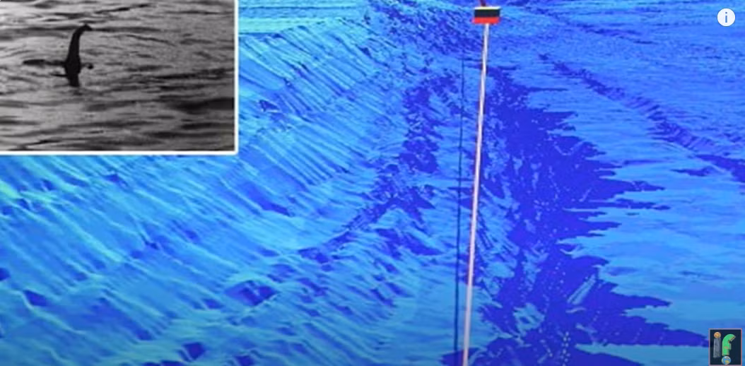 Họ đã tiến hành thăm dò bằng sóng âm và tìm thấy thứ mà họ mô tả là có kích thước bằng một toa tàu hỏa, nhưng khi họ cố gắng tiếp cận sinh vật này, nó nhanh chóng biến mất. Hồ Brosno sâu tới 42,7 mét ở một số nơi, tạo ra nhiều không gian lý tưởng để Brosnya ẩn náu. Ảnh: @We are IF.