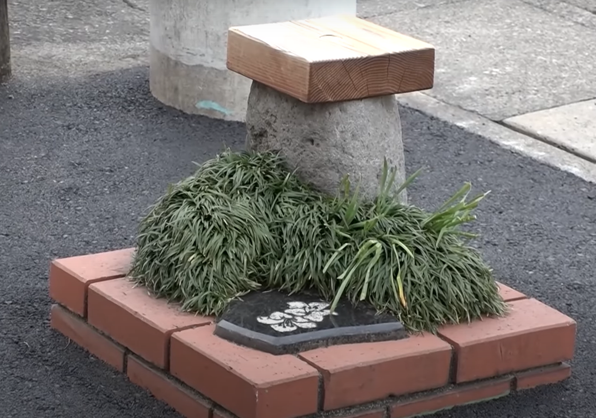 Shuji Koyama, trưởng nhóm quản lý xây dựng của thị trấn Nagaizumi, chia sẻ với Tổ chức Guinness rằng, công viên nhỏ này được xây dựng vào năm 1988 để tận dụng tối đa không gian trống trên đường, sau khi lấy cảm hứng từ phát hiện của một nhân viên vừa đi du lịch đến Mỹ. Ảnh: @Nippon Television .