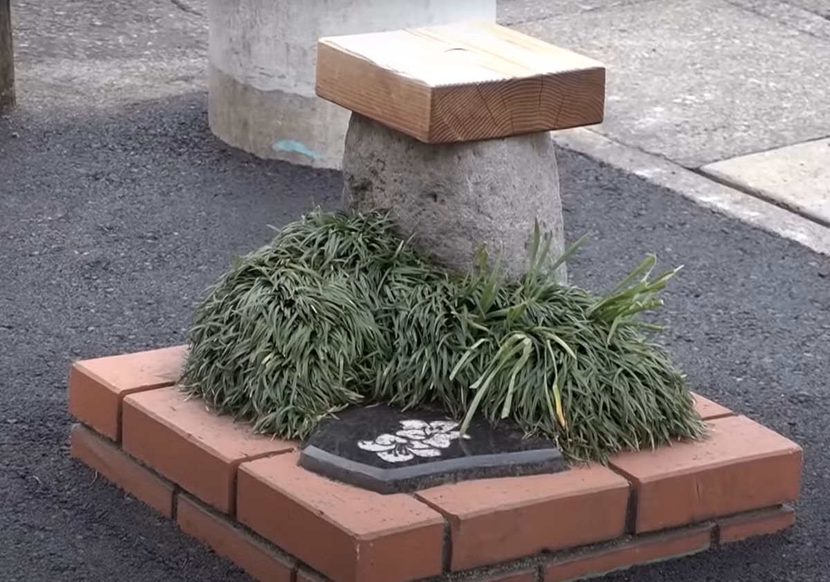 Shuji Koyama, trưởng nhóm quản lý xây dựng của thị trấn Nagaizumi, chia sẻ với Tổ chức Guinness rằng, công viên nhỏ này được xây dựng vào năm 1988 để tận dụng tối đa không gian trống trên đường, sau khi lấy cảm hứng từ phát hiện của một nhân viên vừa đi du lịch đến Mỹ. Ảnh: @Nippon Television .