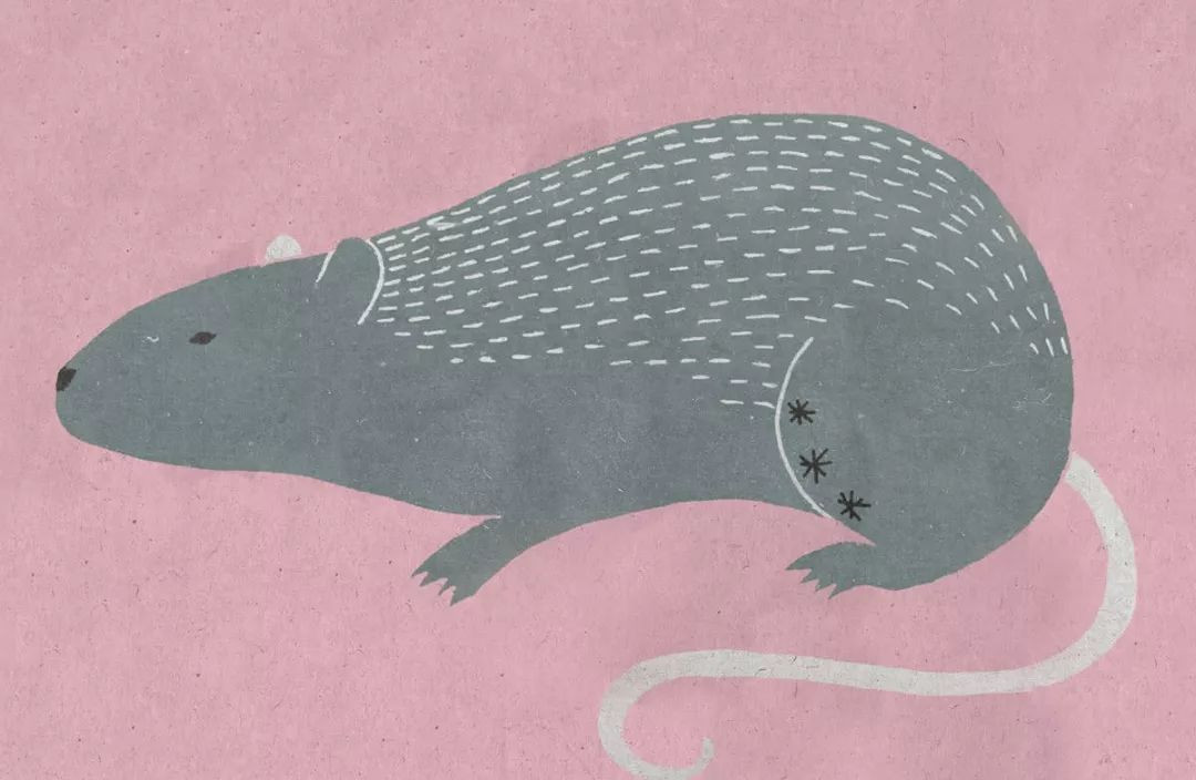 Theo dự đoán ngày mới 23/01/2022 cho 12 con giáp, người tuổi Tý phải giải quyết rất nhiều vấn đề phát sinh trong công việc. Tài vận: nên giữ chặt tiền trong ví. Tình cảm: không phát sinh chuyện ngoài ý muốn. 