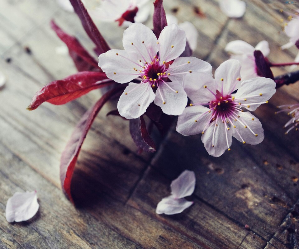 Dự đoán tuần mới cho tuổi Tý: Vận thế chung: 4.7 điểm. Sự nghiệp: 4.2 điểm. Tài vận: 4.3 điểm. Tình cảm: 4.8 điểm. Sức khỏe: 4.6 điểm. Sự nghiệp: con giáp này nhận được nhiều tin vui trong công việc. Tài vận: tình hình tài chính khá. Tình cảm: vận đào sáng, chuyện tình cảm ngọt ngào. Sức khỏe: chú ý hệ tiết niệu. Con số may mắn: 3, 8. Màu sắc may mắn: màu xanh da trời. Hướng may mắn: hướng Đông. Quý nhân tuần này: tuổi Sửu, tiểu nhân tuần này: tuổi Mão. Lời khuyên: cẩn thận khi đi xa. Ảnh: pinterest.com.