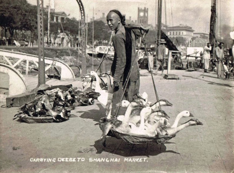 Một người đàn ông đang gánh ngỗng ra chợ bán. Ảnh: sohu.com. 