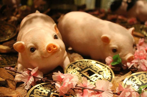 Tuổi Hợi hôm nay cần chú ý việc xử lý sai lầm của cấp dưới, kẻo khiến lòng người không phục. Con giáp nên tích cực tham khảo cách kiếm tiền của người khác để học hỏi và phát triển. (*Thông tin chỉ mang tính chất chiêm nghiệm, trắc nghiệm vui).