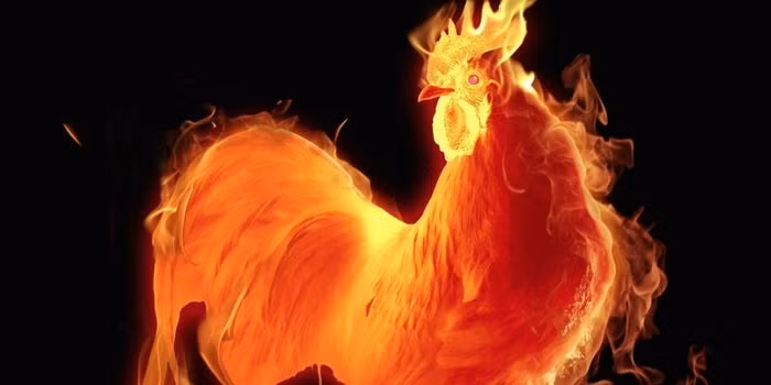 Tuổi Dậu từ chối cạnh tranh không lành mạnh, càng được mọi người tin tưởng, đánh giá cao. Hôm nay cơ hội làm ăn tìm đến, con giáp đừng kén cá chọn canh, hãy dũng cảm thử sức mới mong có tiền vào túi.