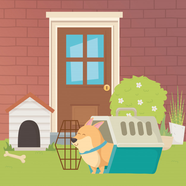 Tuổi Tuất có một ngày tỉnh táo, làm việc có nguyên tắc và có lựa chọn đúng đắn, nên hiệu quả công việc lên cao. Con giáp chịu khó tìm hiểu kỹ đối tác làm ăn, để có sự hợp tác vui vẻ, thấu hiểu, mang lại lợi nhuận khổng lồ.