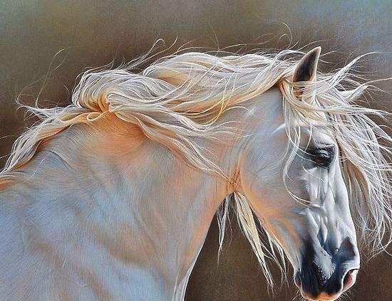 Tuổi Ngọ hôm nay dễ mâu thuẫn với cấp trên, khiến con giáp càng mất tinh thần làm việc. Hãy cố xác định động lực của bản thân để lấy lại tinh thần, nếu không con giáp sẽ còn mất thêm nhiều tiền bạc trong đầu tư do thiếu tập trung.