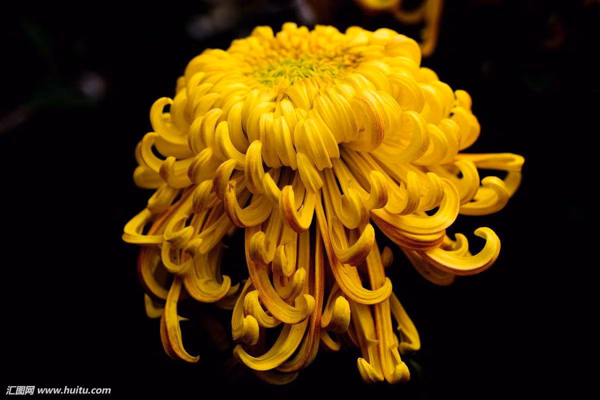 Tuổi Thìn: Sự nghiệp: đề phòng tiểu nhân hãm hại. Tình cảm: đề phòng sự xuất hiện của “kẻ thứ ba”. Tài vận: tình hình tài chính rất xấu, dễ hao tổn tiền bạc. Sức khỏe: chú ý sức khỏe người thân trong gia đình. Quý nhân tuần này: tuổi Mão, tiểu nhân tuần này: tuổi Sửu. Lời khuyên: nên cẩn thận trong vấn đề tình cảm để tránh chuyện thị phi, phiền phức. Ảnh: baidu.com.