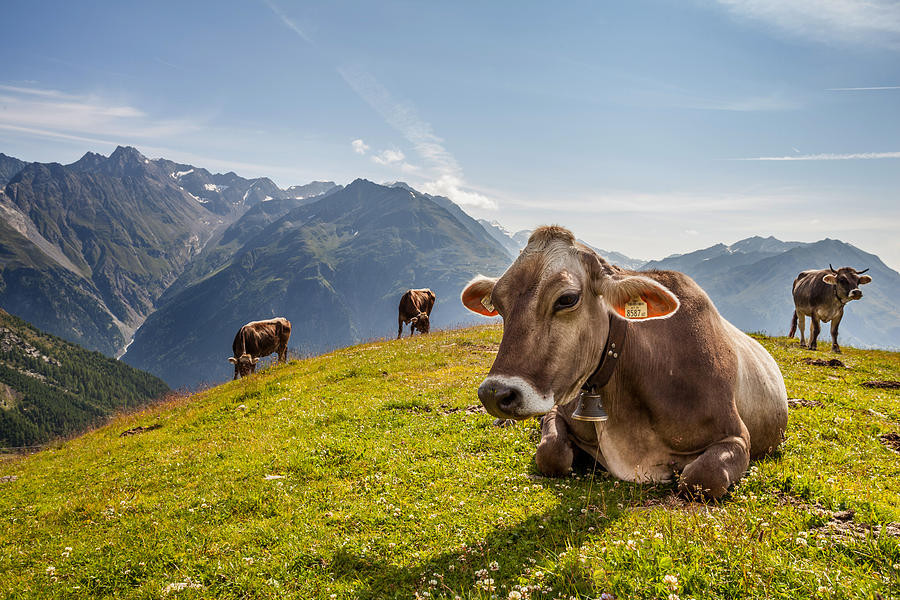 Du doan ngay moi 23/6/2020 cho 12 con giap-Hinh-2