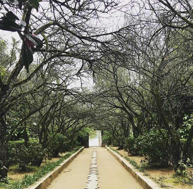 Lối vào nhà vườn An Hiên là một cổng vòm nhỏ được xây dựng bằng gạch vôi vữa. Dọc theo lối đi vào là hai dãy cây mận trắng đan tầng vào nhau cao vút và che bóng mát. 