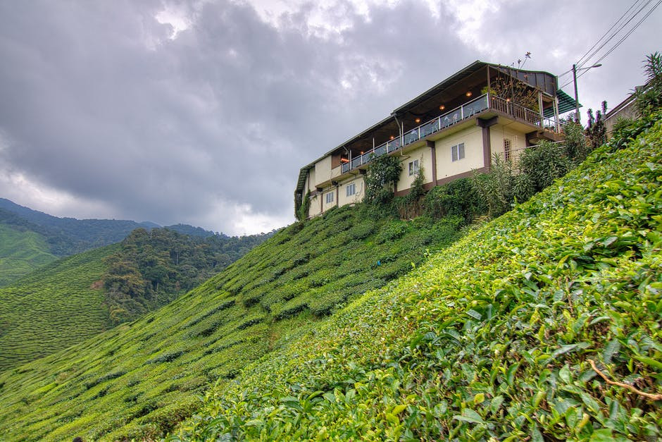 Tuổi Mão: Công việc: công việc ổn định. Tài vận: có thể bỏ tiền ra mua sắm đồ vật mình yêu thích. Tình cảm: có cơ hội gặp được ý trung nhân. . Ảnh: pexels.com.