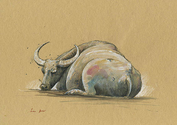 Dự đoán cho 12 con giáp cũng khuyên tuổi Sửu chăm chỉ và kiên trì, cơ hội sẽ tìm đến. Tuy nhiên chuyện tiền bạc thì khác, con giáp đừng nên chia sẻ quá nhiều về lợi lộc, kẻo có tiểu nhân đang chờ đợi.