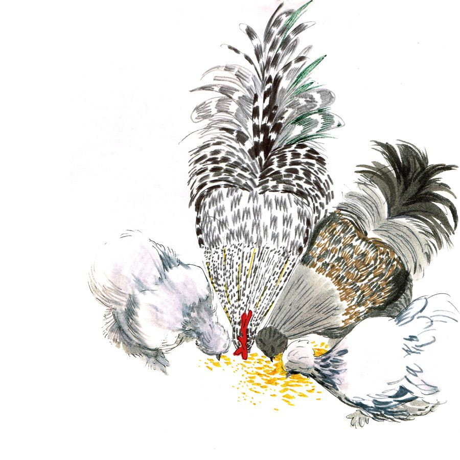 Tuổi Dậu không nên đào bới quá khứ, cứ siêng năng, chú tâm vào hiện tại sẽ được ghi nhận. Con giáp đang có phương hướng đầu tư rất tốt, chỉ cần kiên trì sẽ có lợi lộc sau này.