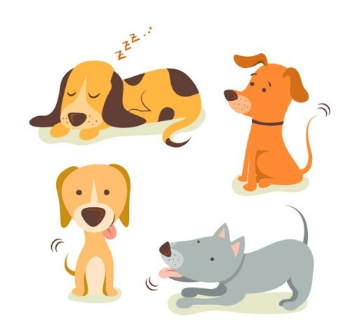 Tuổi Tuất trao đổi với đồng nghiệp nhiều hơn, tất cả sẽ có ý tưởng tuyệt vời giúp công việc thành công. Tài lộc đang rất tốt, con giáp chỉ cần bắt tay vào hành động, tiền sẽ ắt tìm đến.