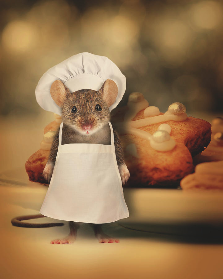 Tuổi Tý khôn ngoan, tinh nhạy, luôn biết cách làm việc hiệu quả nhất mà cũng không bao giờ làm mất lòng người. Vì vậy, công việc của con giáp luôn thông suốt, được mọi người yêu mến, dễ dàng được đề bạt lên làm quản lý.