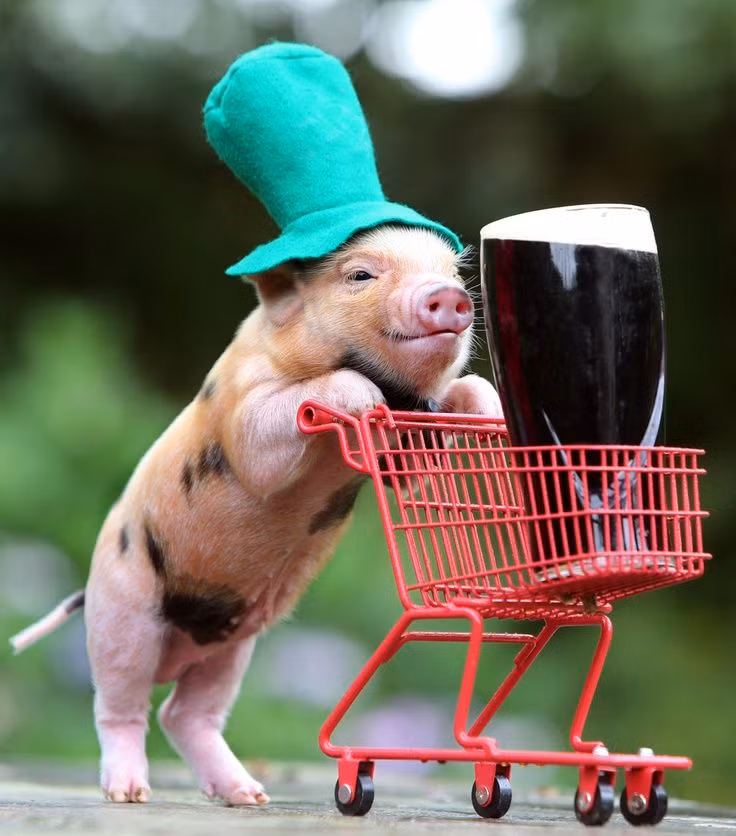  Tuổi Hợi: Dự đoán ngày mới tử vi 12 con giáp cảnh báo, gần mực thì đen, gần đèn thì rạng, nên chấn chỉnh lại các mối quan hệ bạn bè, đối tác, đừng đi theo vết xe đổ. May mắn là tài chính ổn định, tiền bạc vừa tầm nên bạn không bị bối rối, sợ hãi. Vởi nửa kia, đừng quá thực dụng, bạn đang sở hữu báu vật ít người có được nên hãy cố gắng trân trọng hết mực.* Thông tin trong bài chỉ mang tính chất tham khảo, chiêm nghiệm