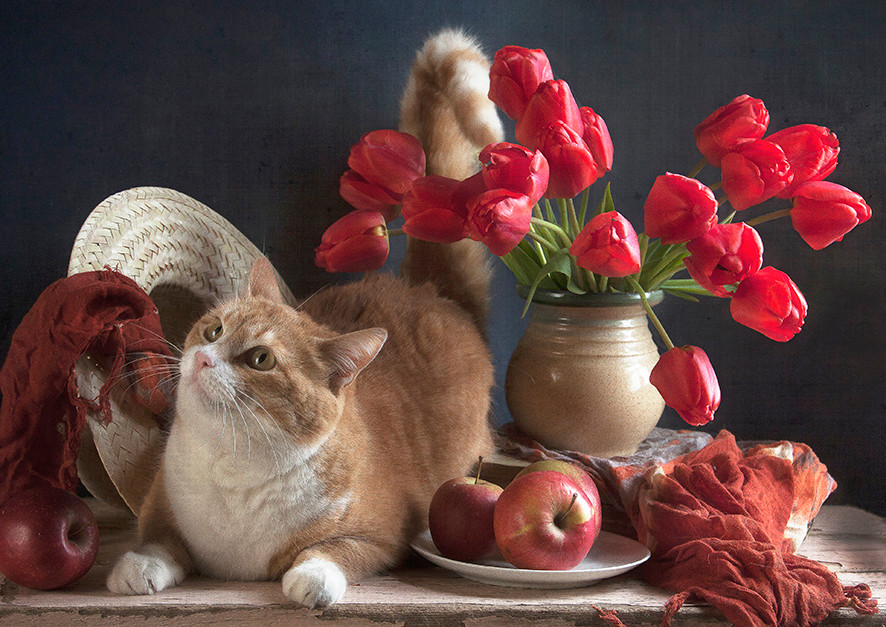  Tuổi Mão: Dự đoán ngày mới tử vi 12 con giáp cảnh báo, bạn cần chú ý trong vấn đề dinh dưỡng, phòng tránh bệnh đường tiêu hóa, mỡ máu do ăn uống vô độ. Có vẻ như sức khỏe không lý tưởng khiến bạn cạn kiệt ý tưởng, làm việc đuối sức, hay cãi vã với nửa kia, thậm chí có ý định chia tay. 