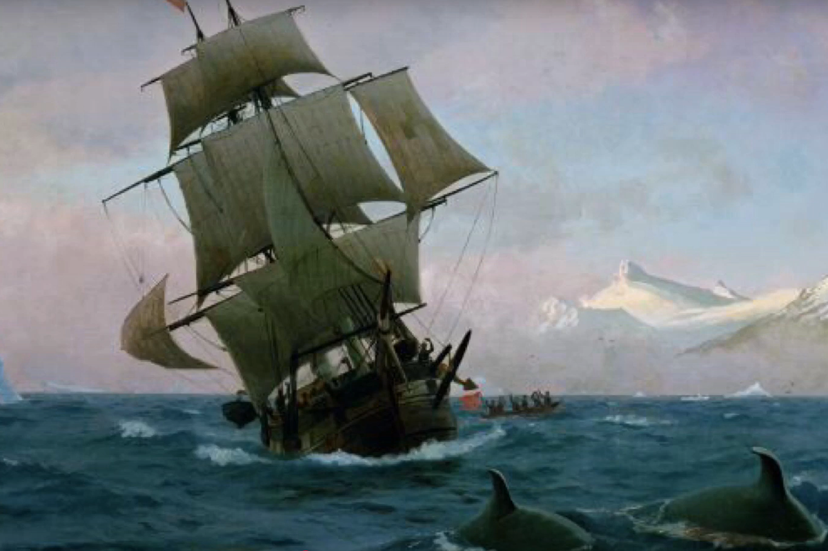 Họ giương buồm về phía Bắc rồi nhanh chóng mất tích. Không ai nghe thấy tin tức gì về Octavius nữa. Đầu năm 1775, một con tàu săn cá voi có tên Herald đã tìm thấy Octavius ở vùng biển băng giá ngoài khơi Greenland. Ảnh: @The Jolly Reiver.