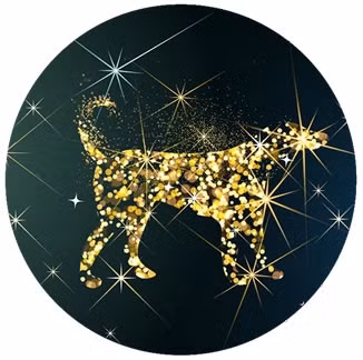 Người tuổi Tuất nên biết cách từ chối, có như vậy mới giảm bớt được những việc nhờ vả mà tập trung vào công việc chính của bản thân, nâng cao được hiệu suất làm việc cũng như giành cơ hội tăng lương.