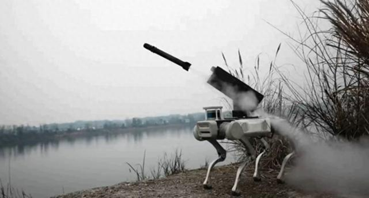 Trung Quoc khoe cho robot quan su, ky nang chien dau 