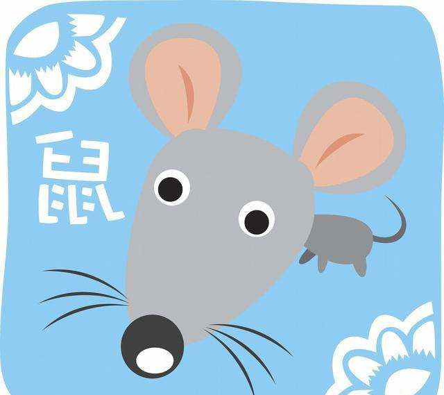 Năm Tân Sửu 2021, người tuổi Tý sinh năm 1984 do bước vào năm hợp thái tuế nên có thể nhận tin vui về con cái. Trong năm này, tài vận của con giáp này rất tốt, ngoài thu nhập chính ổn định, nguồn thu phụ cũng rất khả quan, thậm chí còn có cơ may trúng xổ số với giải đặc biệt. 