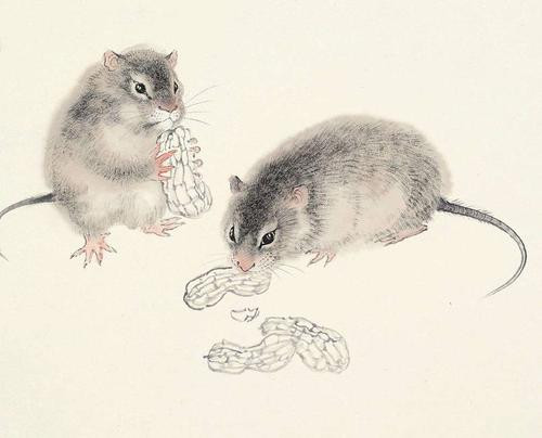 Theo dự đoán cho 12 con giáp, sự nghiệp của người tuổi Tý phát triển rất thuận lợi. Dưới sự ảnh hưởng của cát tinh “Văn Xương” tạo nên bước tiến không nhỏ trong sự nghiệp. Đối với người làm công ăn lương, có thể trở thành người chịu trách nhiệm cao nhất của những dự án quan trọng. Đối với những người tuổi Tý làm sếp hoặc tự mình làm chủ sẽ có được trợ thủ đắc lực giúp công việc thêm phần suôn sẻ, nhưng cũng cần chú ý tránh khinh suất trong lời nói, và có tâm lý phòng bị như vậy mới không bị người khác hãm hại. 