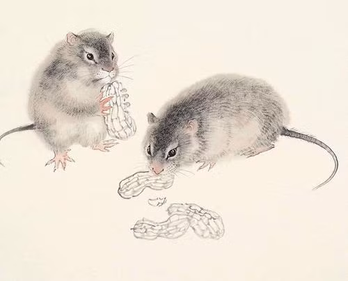 Theo dự đoán cho 12 con giáp, sự nghiệp của người tuổi Tý phát triển rất thuận lợi. Dưới sự ảnh hưởng của cát tinh “Văn Xương” tạo nên bước tiến không nhỏ trong sự nghiệp. Đối với người làm công ăn lương, có thể trở thành người chịu trách nhiệm cao nhất của những dự án quan trọng. Đối với những người tuổi Tý làm sếp hoặc tự mình làm chủ sẽ có được trợ thủ đắc lực giúp công việc thêm phần suôn sẻ, nhưng cũng cần chú ý tránh khinh suất trong lời nói, và có tâm lý phòng bị như vậy mới không bị người khác hãm hại. 