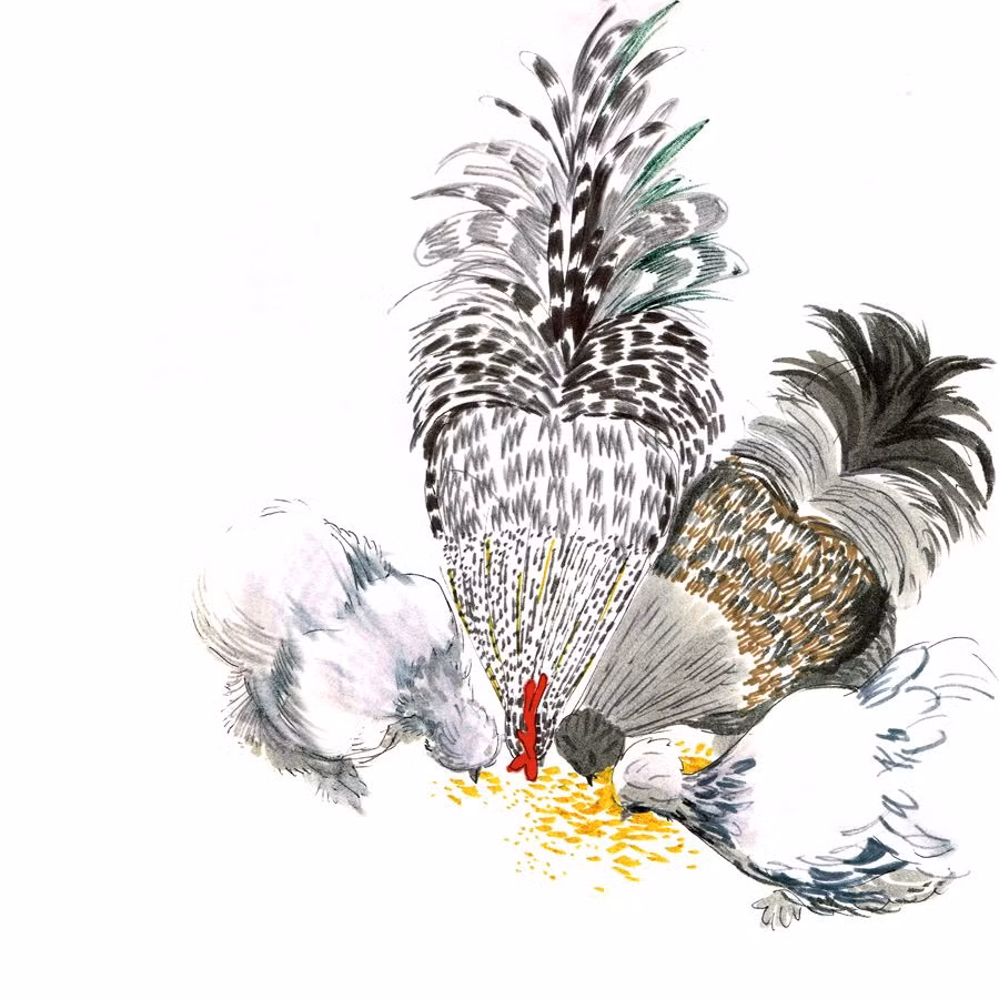 May mắn là con giáp có khả năng nhận định, phán đoán rất tốt, vì vậy tuổi Dậu sớm nhìn ra đâu là cơ hội mình cần nắm bắt. Con giáp luôn sẵn sàng, chỉ chờ thời điểm thích hợp, ắt sẽ tiến bước trên con đường công danh, tài lộc đầy nhà.