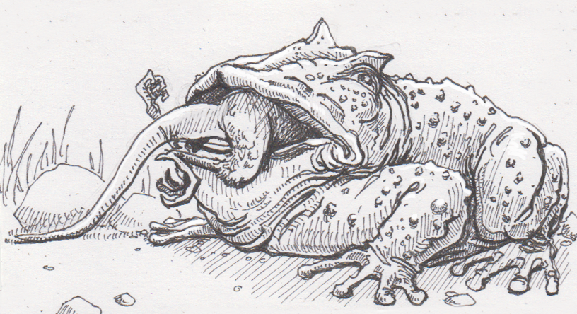 Theo chuyên gia khoa học Evans, trong quá khứ, có thể loài ếch quỷ khổng lồ Beelzebufo ampinga có tính khí hung dữ và chiến thuật phục kích con mồi ở bờ sông. Thế nên, nó từng là một loài săn mồi đáng gờm đối với các loài động vật nhỏ. Ảnh: @Non-fiction stories for curious kids.