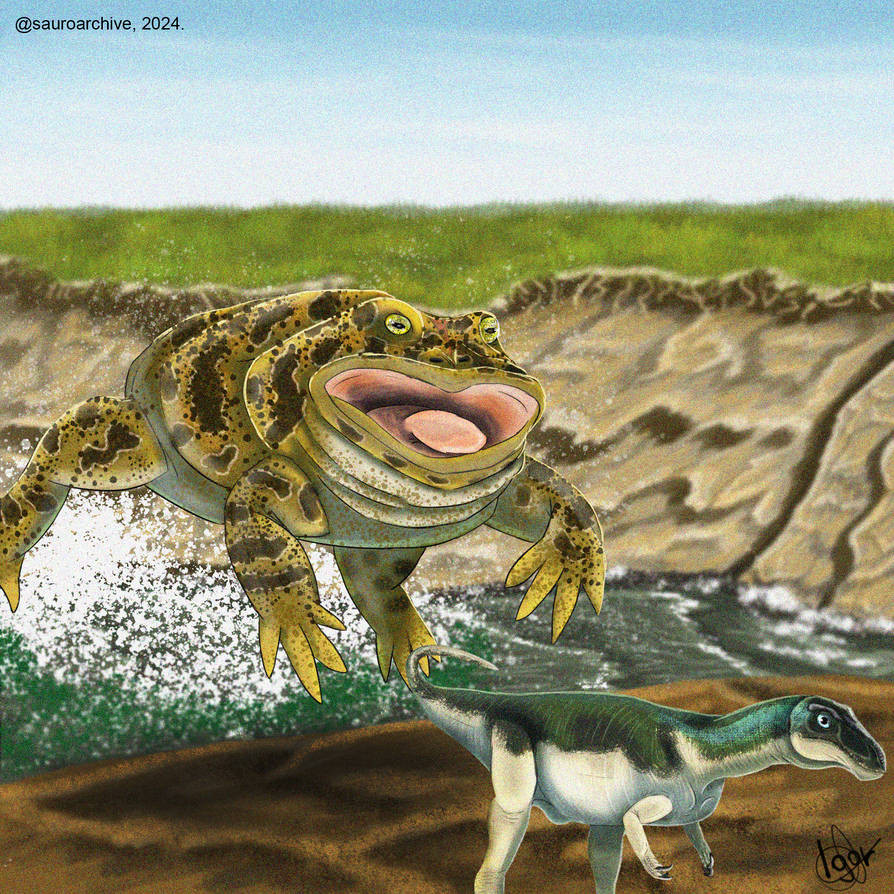 Một số người gọi Beelzebufo ampinga là "ếch quỷ", và cho rằng, đây có thể là loài ếch lớn nhất Trái Đất, khi chúng sống cách đây khoảng 65 đến 70 triệu năm vào cuối Kỷ Phấn trắng, xuất hiện trên hành tinh cùng lúc với nhiều loài khủng long khác nhau, trong đó có loài Masiakasaurus. Ảnh: @Sauroarchive.