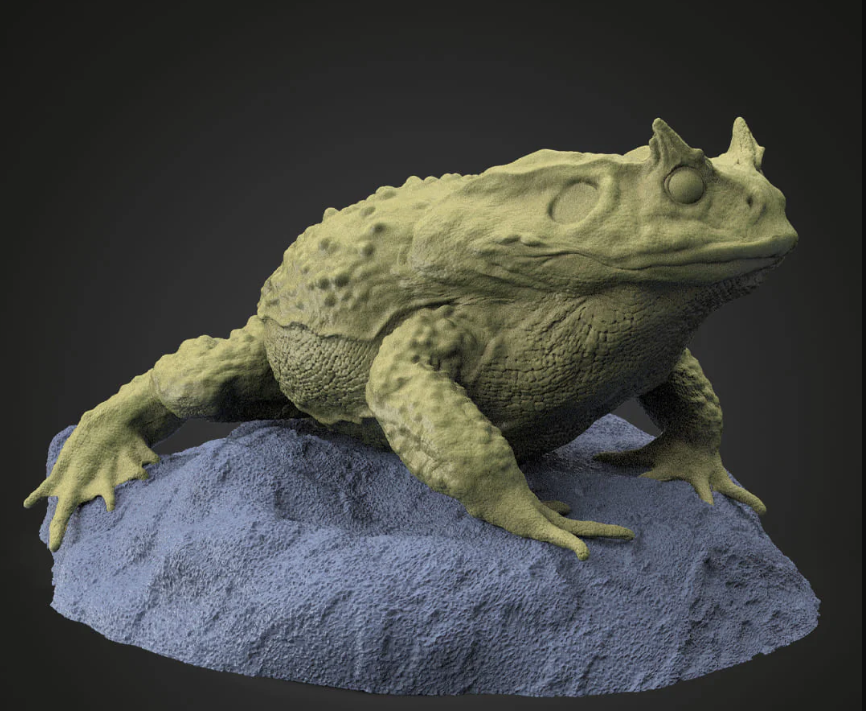 Cái tên Beelzebufo ampinga bắt nguồn từ tiếng Hy Lạp, Beelze trong Beelzebub có nghĩa là "ác quỷ", bufo trong tiếng Latin có nghĩa là con ếch, trong khi ampinga nghĩa là chóp mũ của cái đầu bọc thép trên con vật. Ảnh: @Dinosauria Creatures.