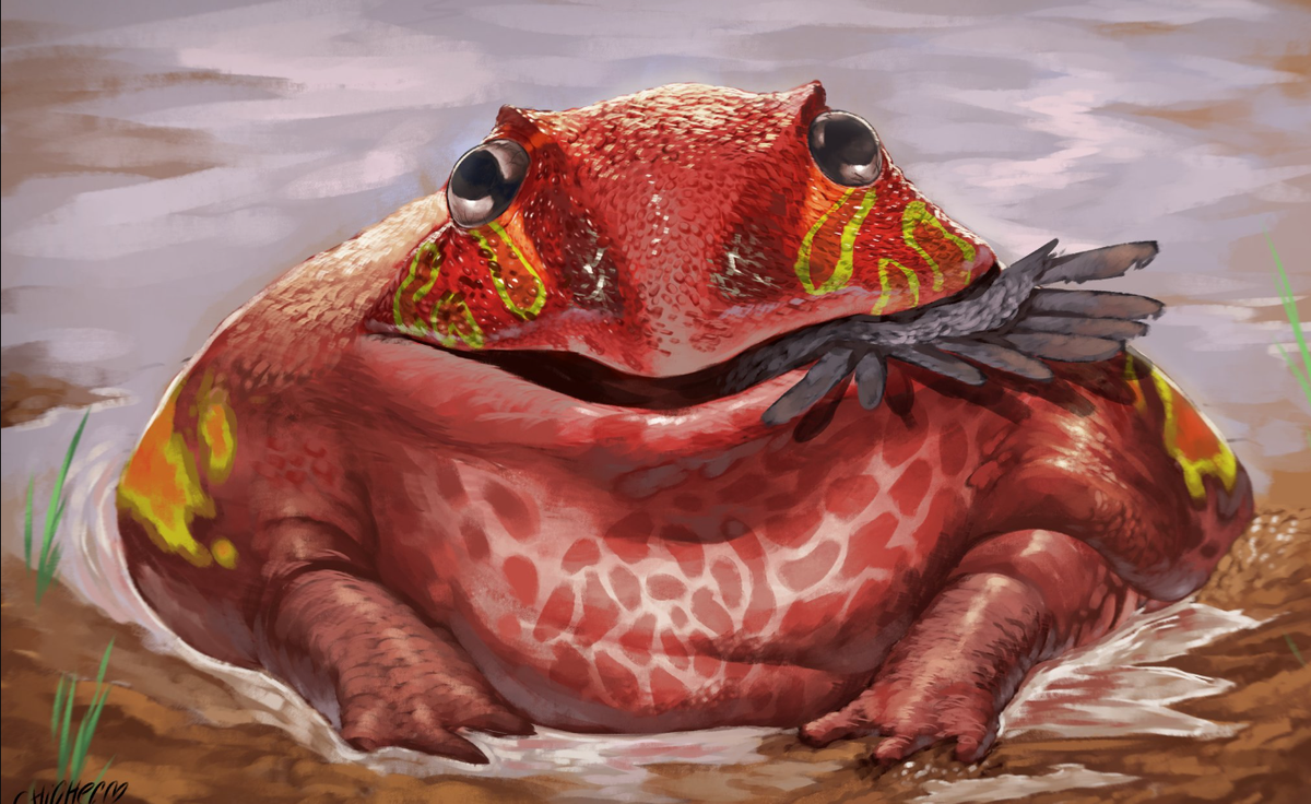 Trong nhiều trường hợp, loài này còn vẽ nên một bức tranh cực kỳ ghê rợn, khi nó xơi luôn cả những con khủng long con Masiakasaurus đang vui vẻ nô đùa bên bờ sông. Ý tưởng này đã được đưa ra, sau một nghiên cứu thú vị về lực cắn của Beelzebufo ampinga. Ảnh: @DeviantArt.