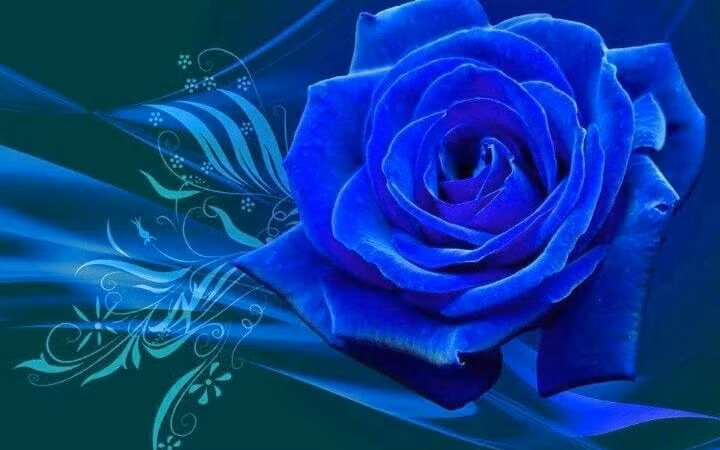 Cũng theo dự đoán ngày mới cho 12 con giáp, công việc của người tuổi Sửu vô cùng thuận lợi, mọi việc đều hoàn thành một cách suôn sẻ. Tài vận: có thêm nhiều cách kiếm tiền. Tình cảm: nên chủ động, nắm bắt cơ hội trong tình cảm. Sức khỏe: sức khỏe ổn định, nhưng vẫn cần luyện tập thêm. Hướng vượng tài: hướng Tây, kỵ hướng Đông. Màu sắc vượng vận: màu trắng. Quý nhân: tuổi Dậu. Ảnh: hoatuoishop.com.