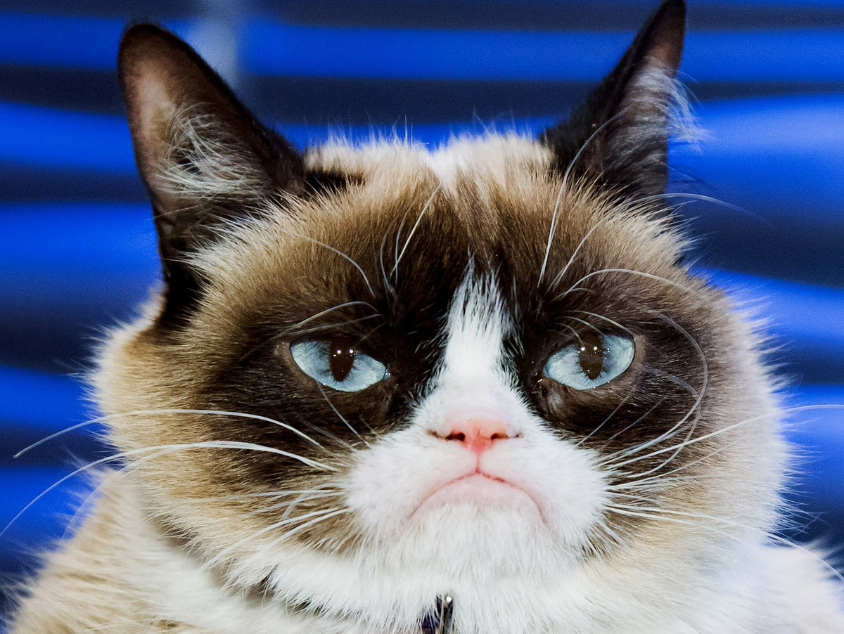 Tuổi Mão thay đổi thái độ, tích cực hơn, công việc sẽ tăng hiệu quả. Hôm nay tài lộc đi xuống do các khoản chi tiêu cho vui chơi quá lớn. Tuy nhiên có những lúc cần tận hưởng, chỉ cần sau đó con giáp nỗ lực kiếm tiền nhiều hơn.