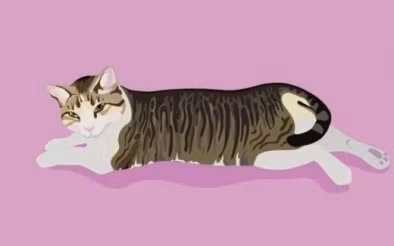 Tháng 5 âm lịch thuận lợi, tuổi Mão có thể gặp được quý nhân, giúp những ý tưởng độc đáo của con giáp được ghi nhận. Người cầm tinh con mèo có được thành công vượt trội, cơ hội thăng quan tiến chức, tài lộc từ đó dồi dào trong phút chốc. (*Thông tin chỉ mang tính chất chiêm nghiệm, trắc nghiệm vui).