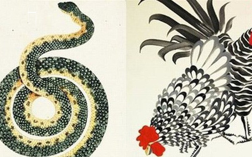 Do cặp đôi này đều là những người tài năng, hơn nữa lại rất giỏi trong việc quản lý tiền bạc nên sau khi kết hôn người tuổi Dậu và Tỵ sẽ cùng tương trợ thúc đẩy sự nghiệp, cùng phát triển công việc nên tiền bạc, tài sản tích lũy trong gia đình ngày càng nhiều, cả đời không phải đau đầu vì tiền. (Thông tin chỉ mang tính chất tham khảo, trắc nghiệm vui).