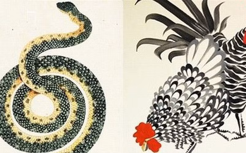 Do cặp đôi này đều là những người tài năng, hơn nữa lại rất giỏi trong việc quản lý tiền bạc nên sau khi kết hôn người tuổi Dậu và Tỵ sẽ cùng tương trợ thúc đẩy sự nghiệp, cùng phát triển công việc nên tiền bạc, tài sản tích lũy trong gia đình ngày càng nhiều, cả đời không phải đau đầu vì tiền. (Thông tin chỉ mang tính chất tham khảo, trắc nghiệm vui).