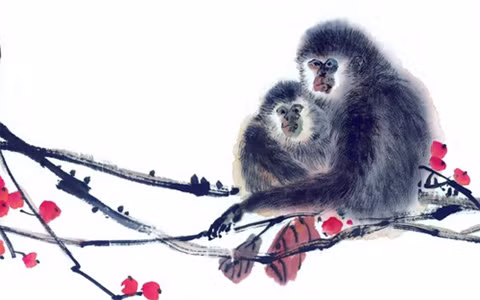 Tuổi Thân: Vận thế năm nay của người tuổi Thân tương đối thuận lợi. Thời gian đầu năm do chịu sự khắc chế của Đinh Hỏa nên dù là người có năng lực nhưng sự nghiệp của con giáp này lại không như ý muốn.