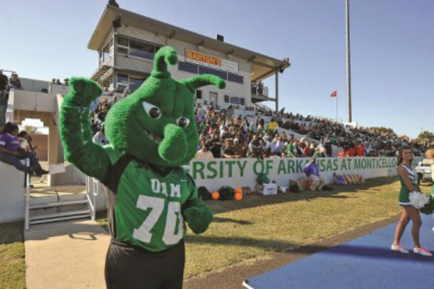 Bạn đã từng nghe đến bọ cánh cứng ăn bông chưa? Đây chính là loài côn trùng ăn bông, tàn phá rất nhiều sản lượng bông của Mỹ vào những năm 1920. Trường Đại học Arkansas tại Monticello đã chọn loài bọ hung háu ăn, có chiếc mũi cụp xuống này làm linh vật thể hiện sự mạnh mẽ. Ảnh: @Daily Caller.