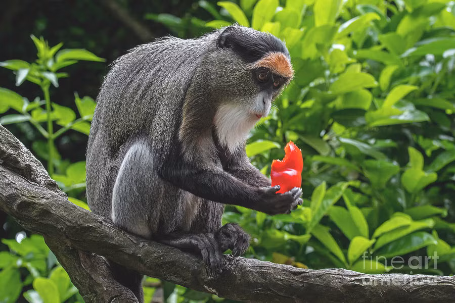  Tuổi Thân: Hôm nay là thời điểm để hành động đơn giản, suy nghĩ chân thực, bày tỏ mọi suy nghĩ trong lòng bạn. Bạn luôn biết cách kiếm tiền bằng các phương pháp thông minh, dễ dàng hoàn thiện mọi nhiệm vụ cấp trên giao phó. Chú ý nhiều hơn tới ẩm thực và thể thao. 